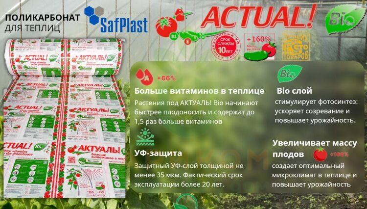 Поликарбонат сотовый 4 мм Прозрачный 0.60 кг/м² 6000*2100 мм (Actual)